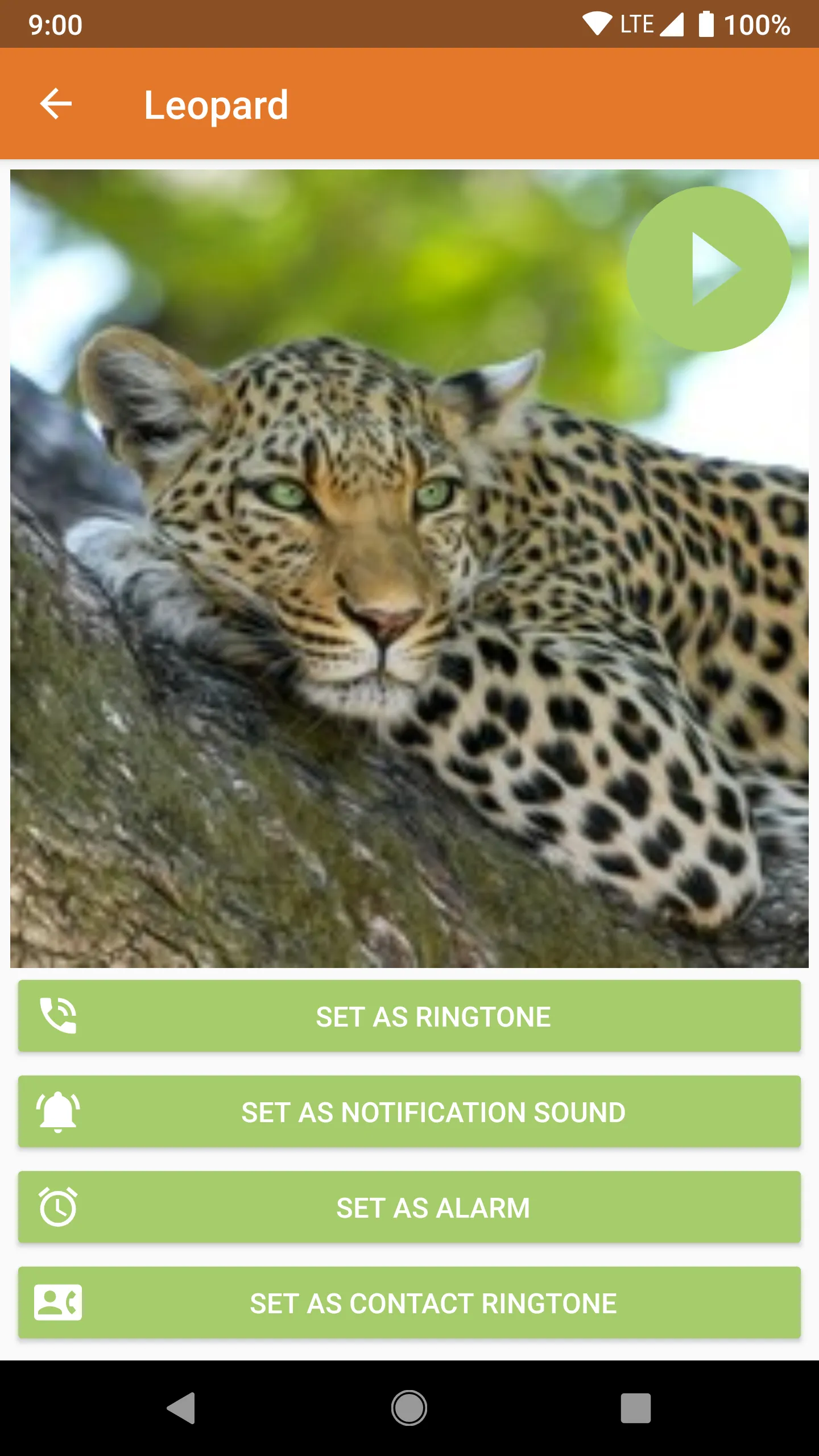 Animal Ringtones & Sounds | Indus Appstore | Screenshot