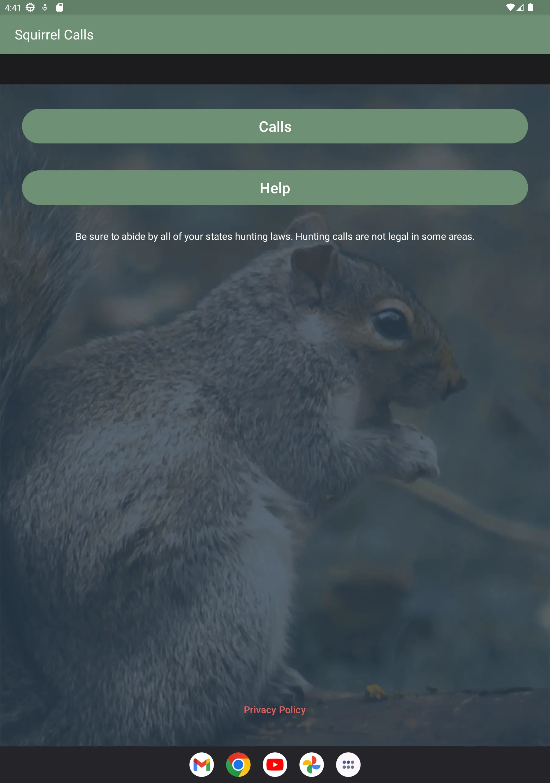 Squirrel Calls | Indus Appstore | Screenshot