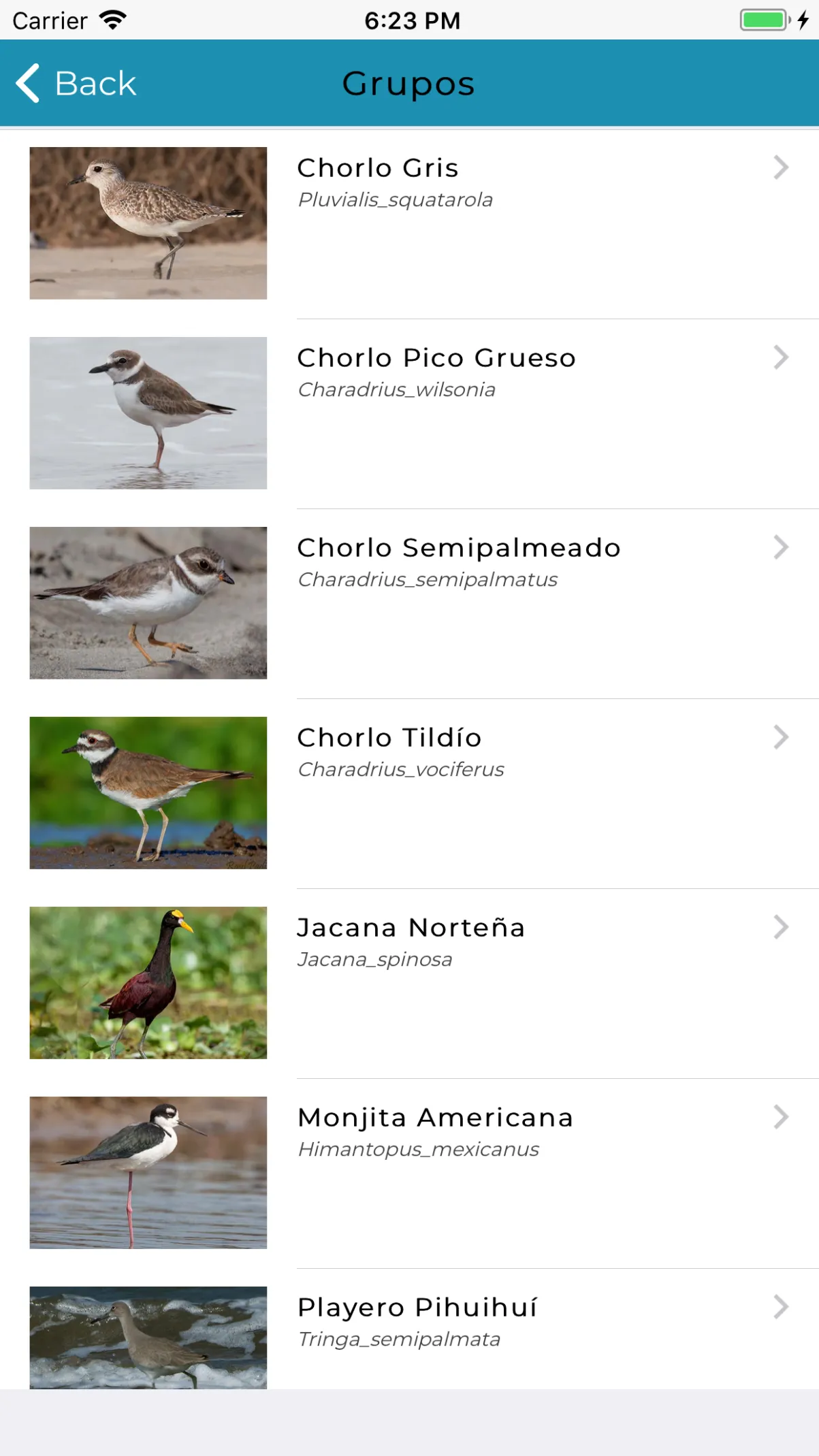 Aves de Cozumel | Indus Appstore | Screenshot