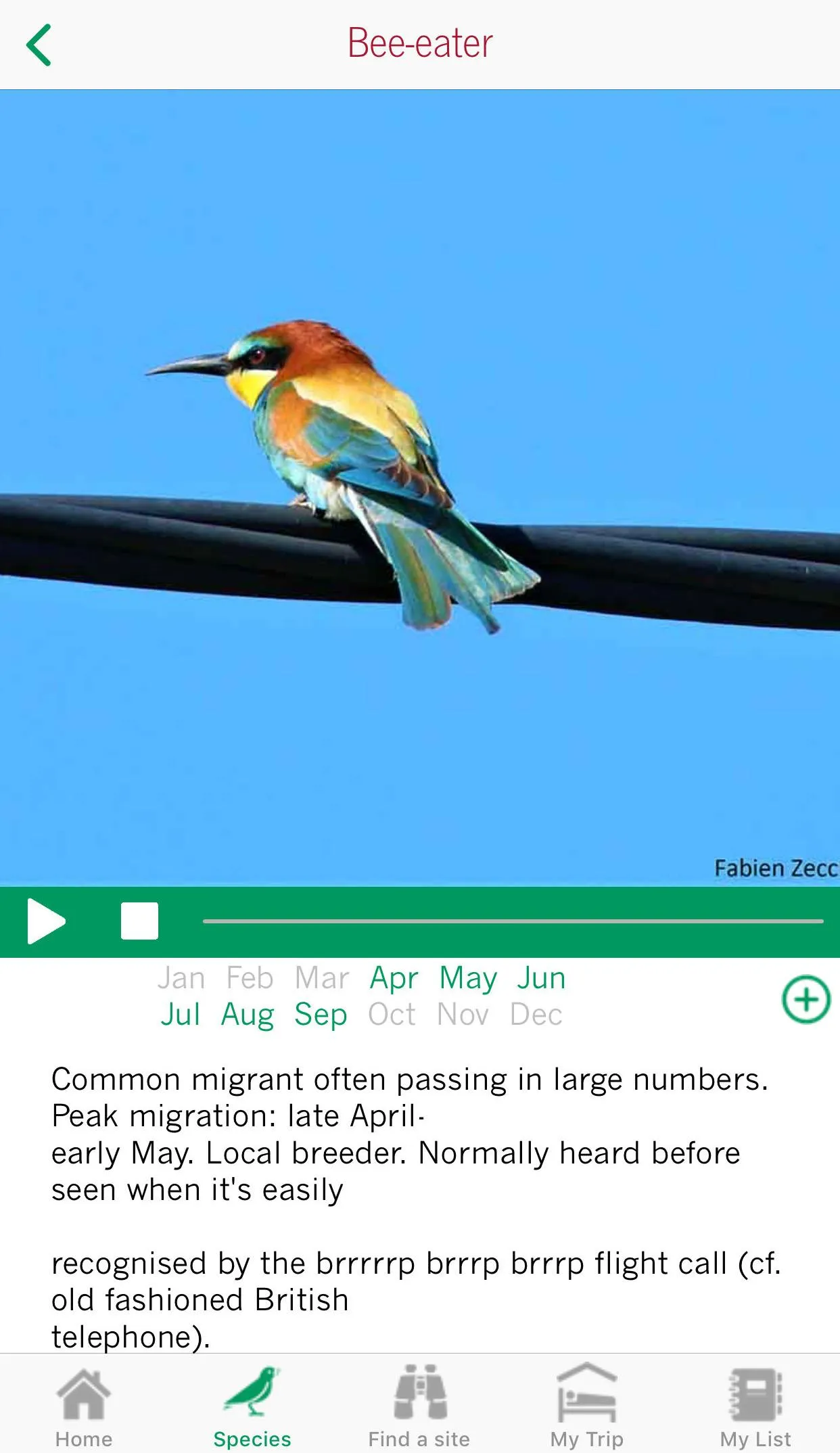 Birdwatching Narbonnaise | Indus Appstore | Screenshot