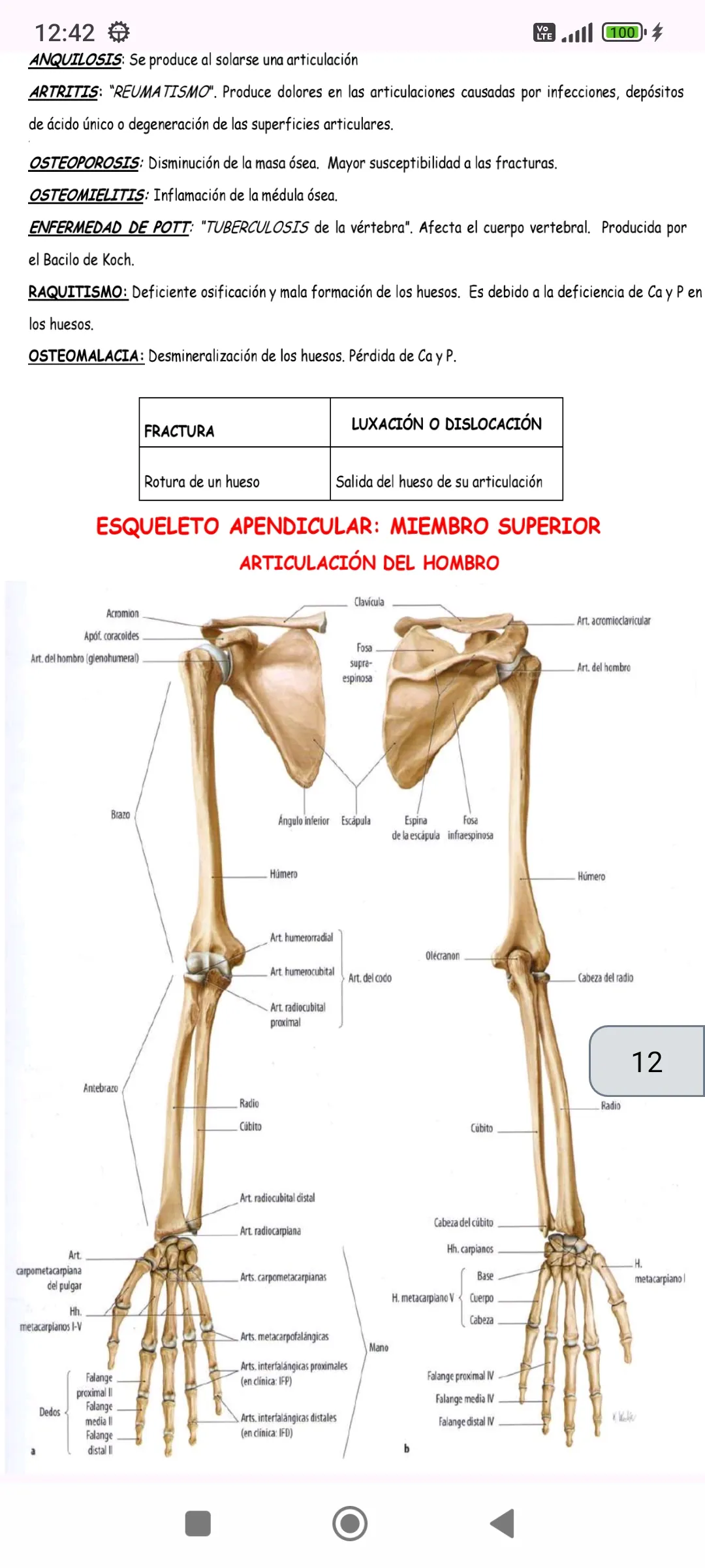 Anatomía | Indus Appstore | Screenshot