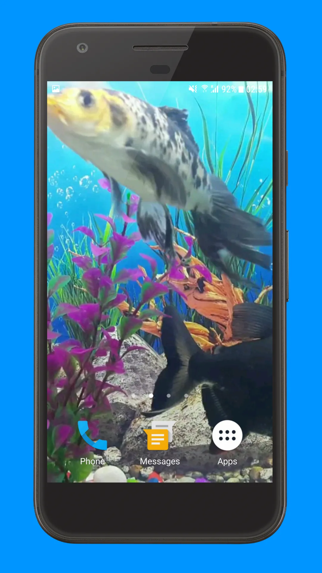 Oscar Fish Aquarium Video 3D | Indus Appstore | Screenshot