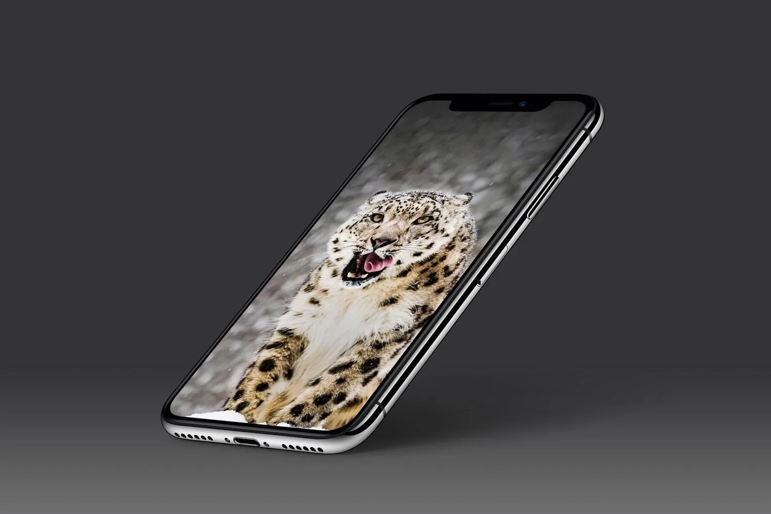 Leopard Wallpaper | Indus Appstore | Screenshot