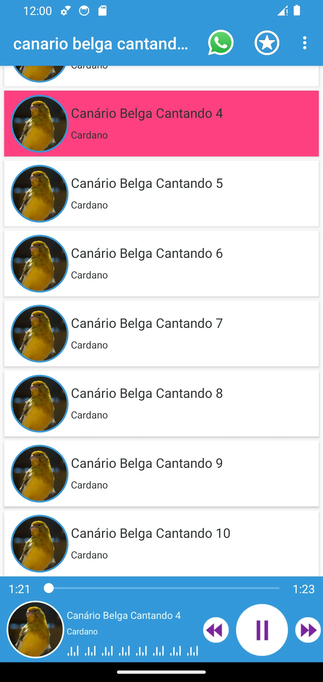 Canário Belga Cantando | Indus Appstore | Screenshot