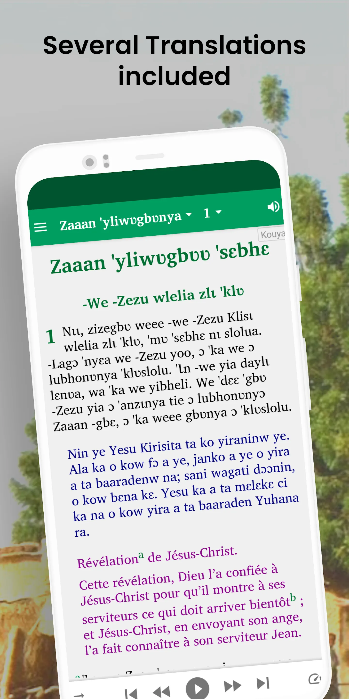 Bible in Kouya - NT in Sokuya | Indus Appstore | Screenshot