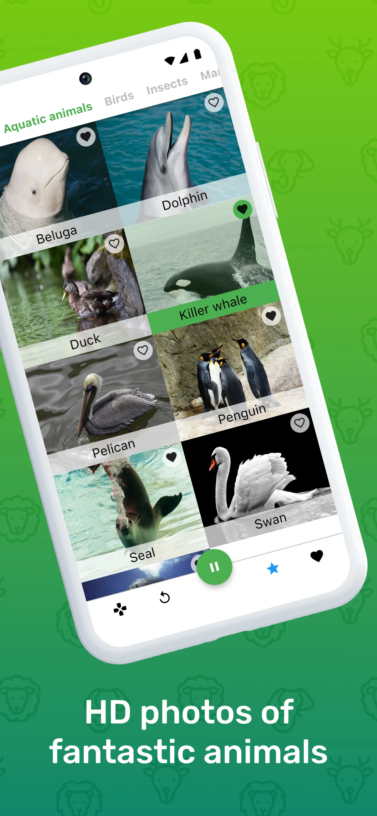 Guess the Animal Sounds | Indus Appstore | Screenshot