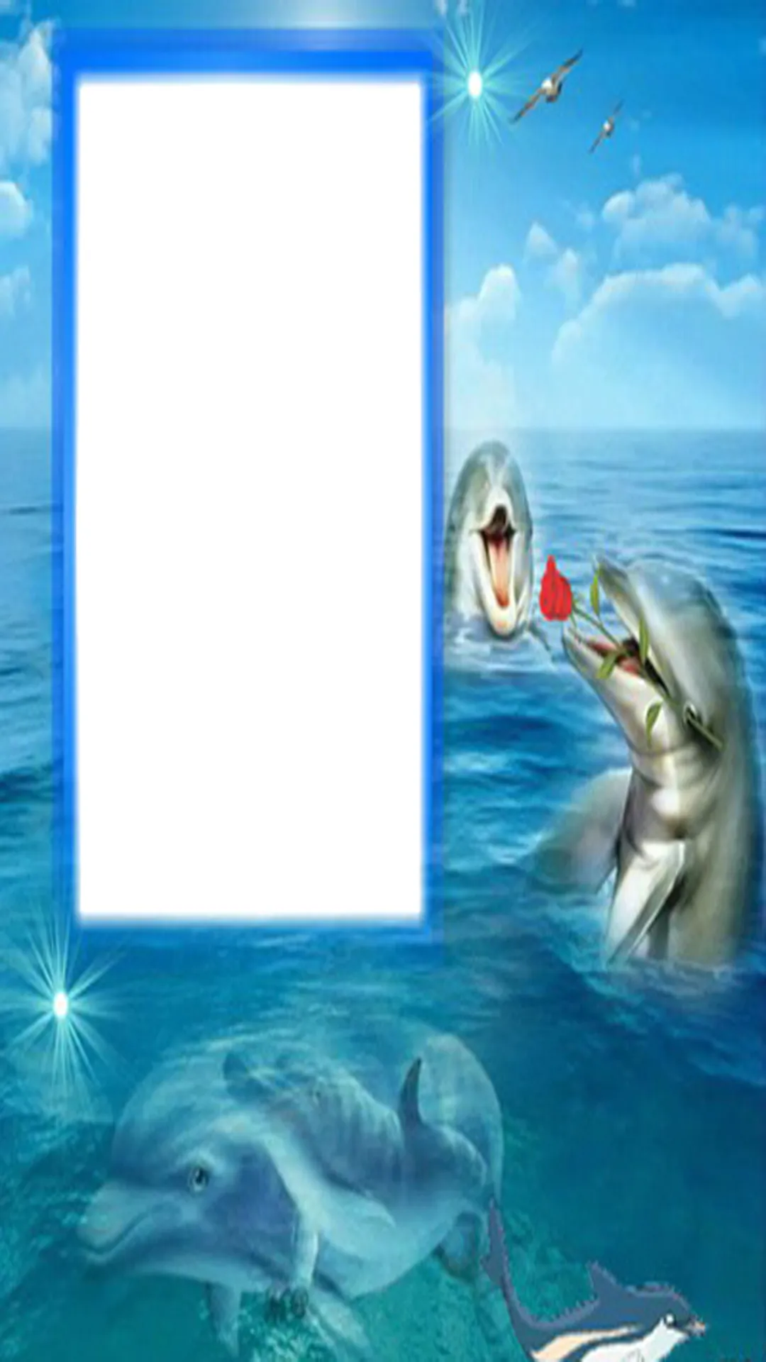 Dolphin photos Frames | Indus Appstore | Screenshot