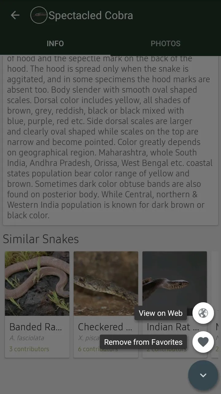 Indian Snakes | Indus Appstore | Screenshot