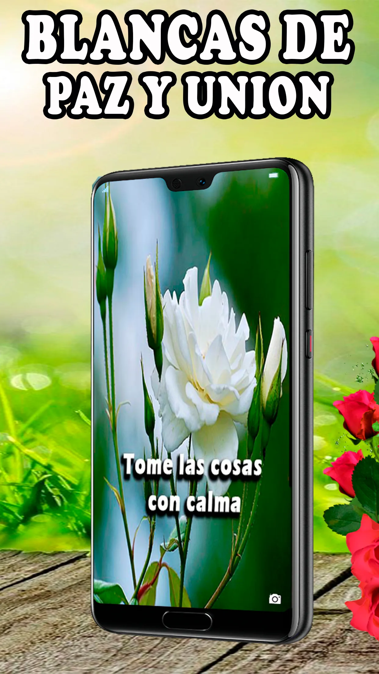 Rosas Rojas Hermosas Flores | Indus Appstore | Screenshot