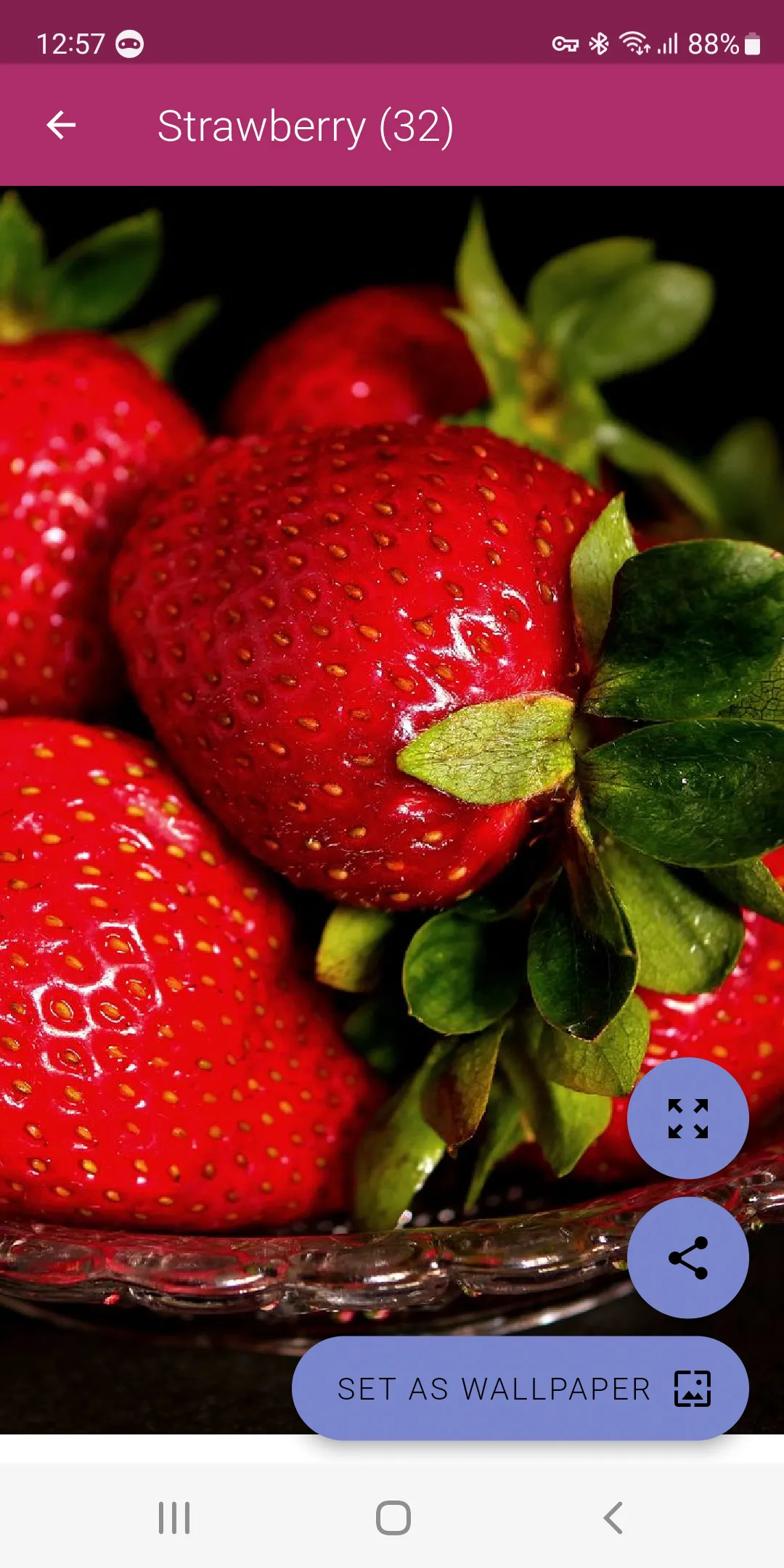 Strawberry Wallpapers | Indus Appstore | Screenshot