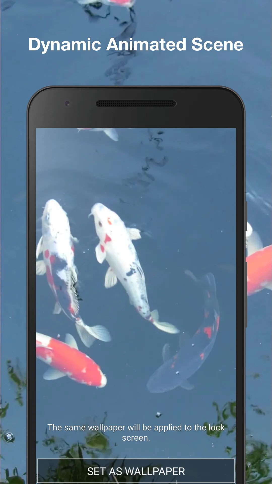 Koi Fish Live Wallpaper | Indus Appstore | Screenshot