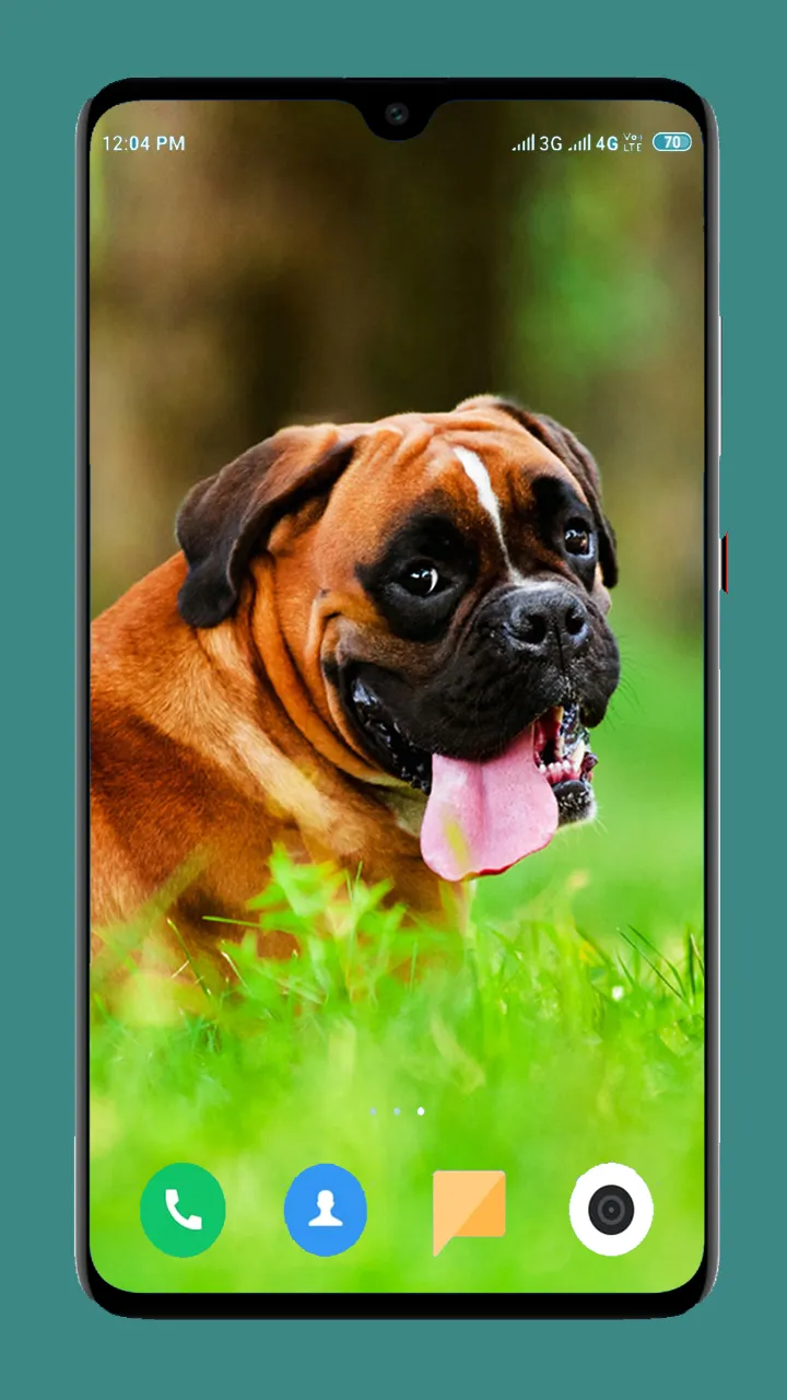 Dog Wallpaper 4K | Indus Appstore | Screenshot