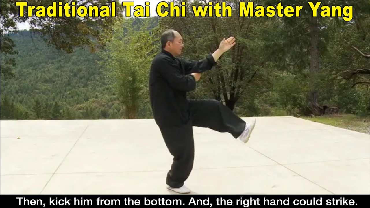 Yang Tai Chi for Beginners 2&3 | Indus Appstore | Screenshot