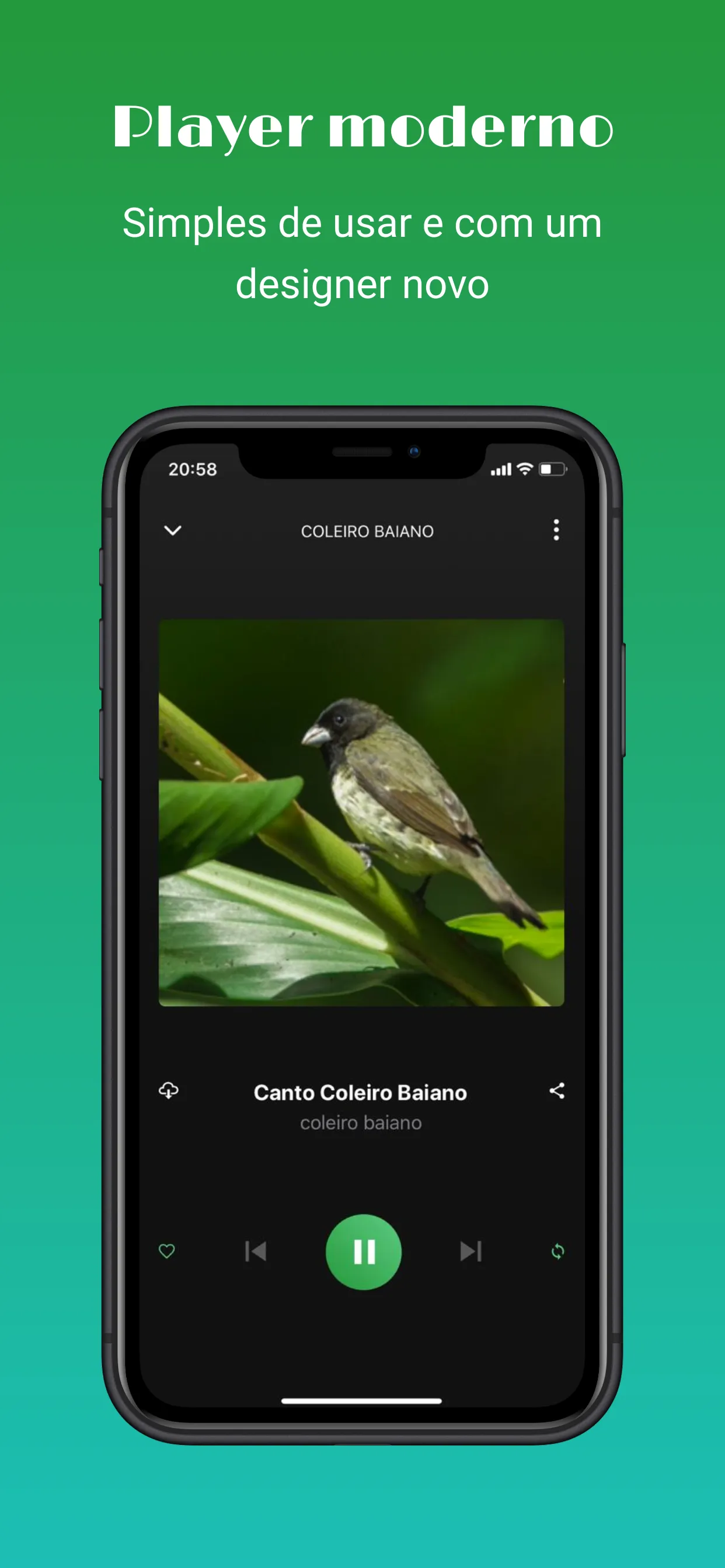 Sounds of birds | Indus Appstore | Screenshot