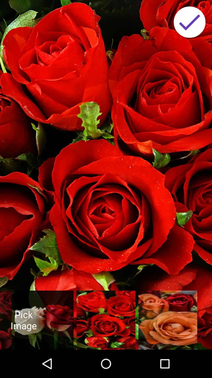 Roses Live Wallpapers | Indus Appstore | Screenshot