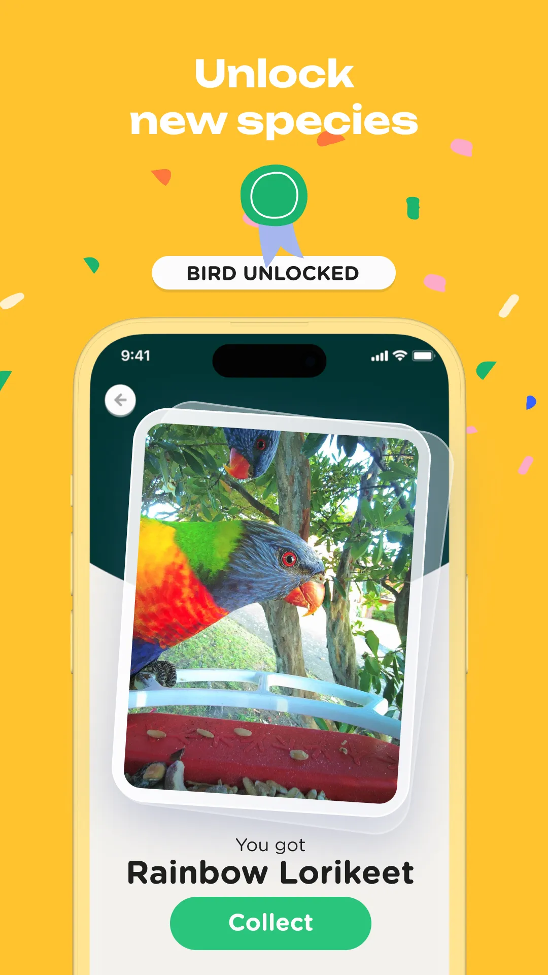 Bird Buddy: Tap into nature | Indus Appstore | Screenshot