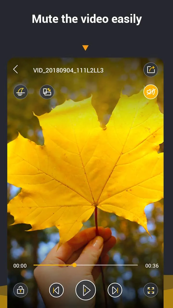 Video Player All Format | Indus Appstore | Screenshot