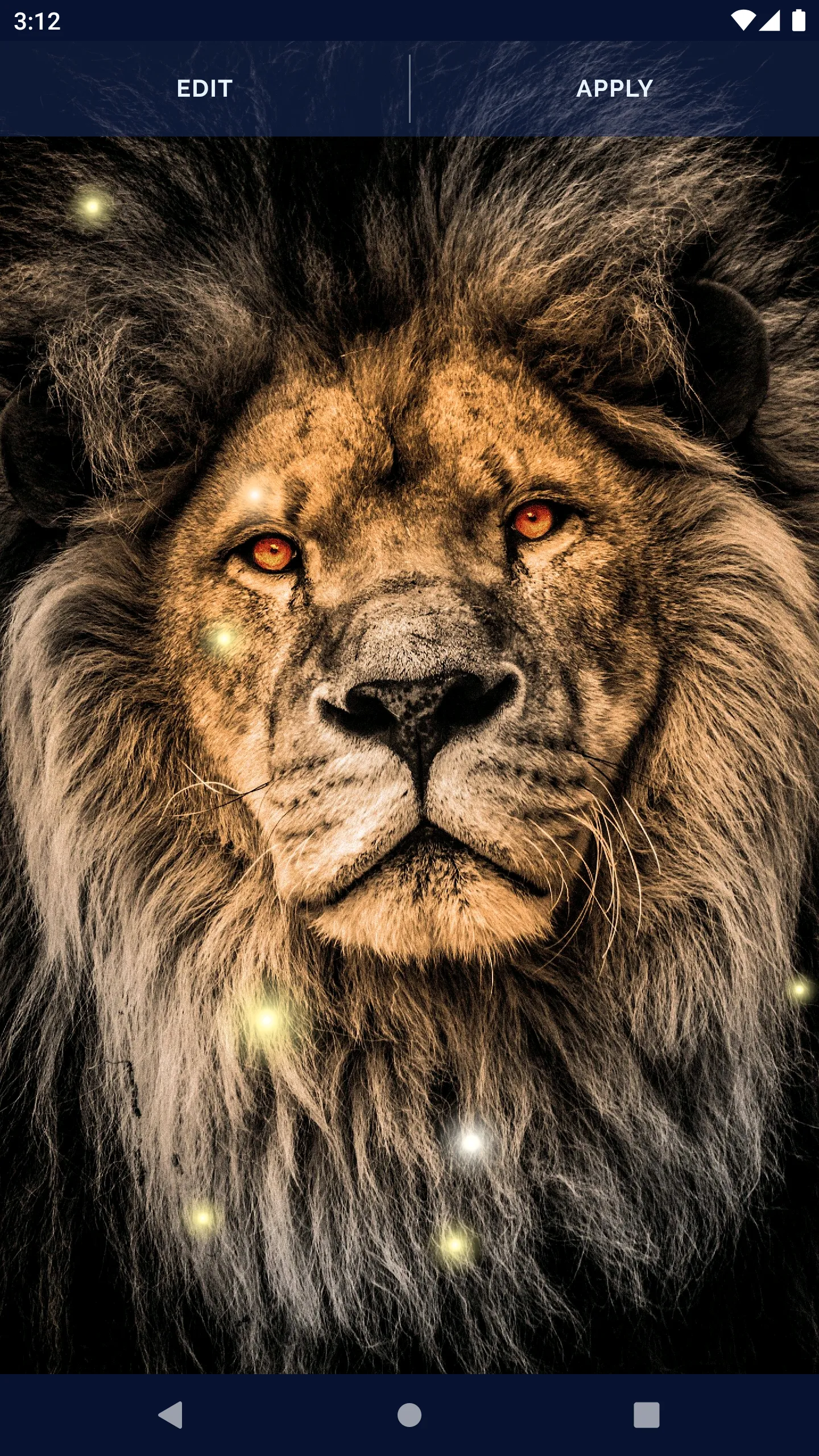 Brave Lion Live Wallpaper | Indus Appstore | Screenshot