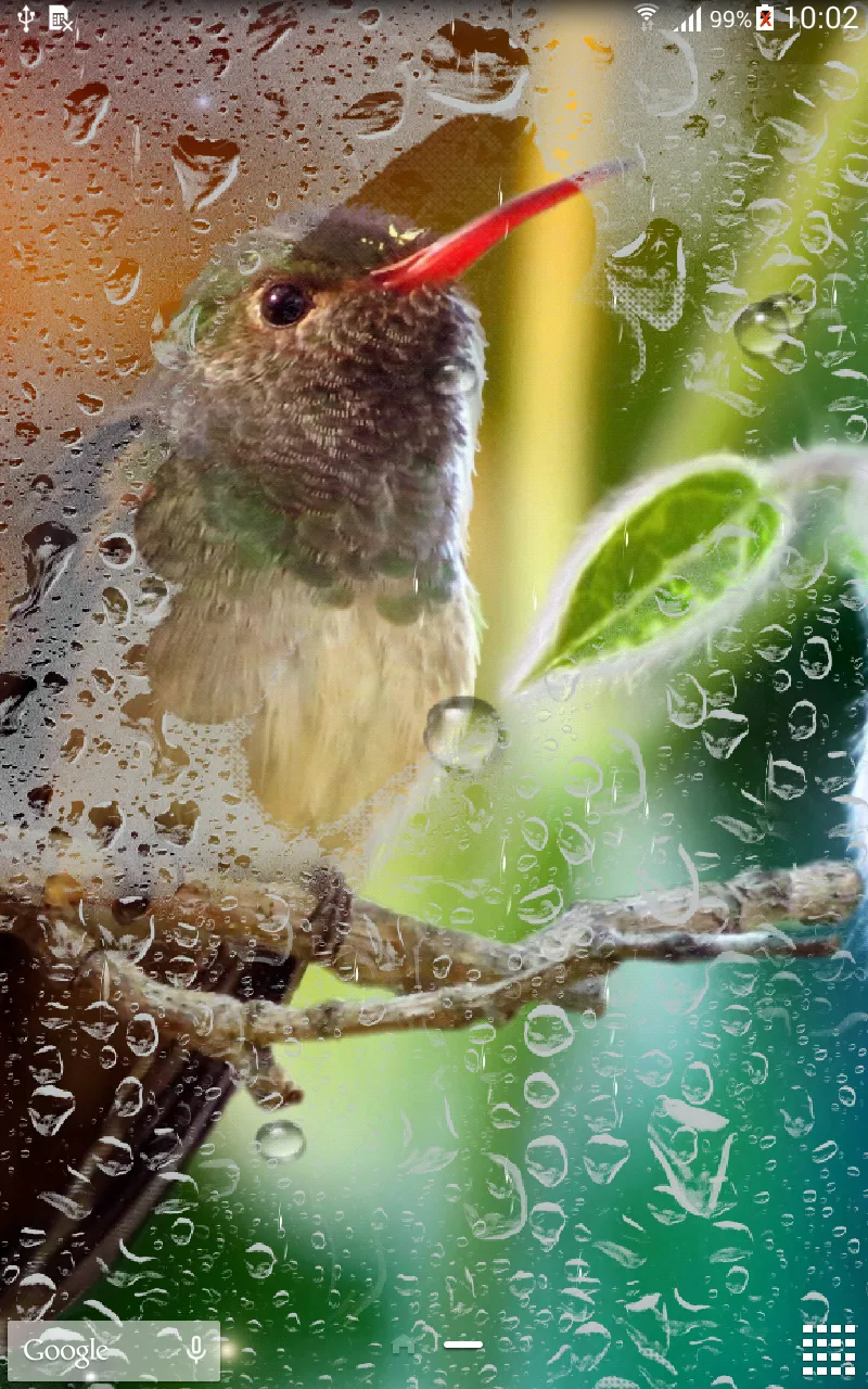 Hummingbirds Live Wallpaper | Indus Appstore | Screenshot