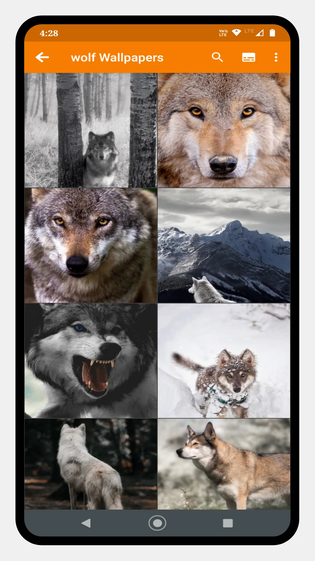 Wolf Wallpaper-OFFLINE | Indus Appstore | Screenshot