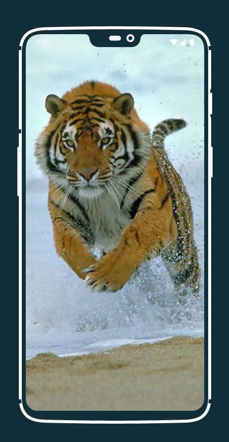 Tiger Wallpapers | Indus Appstore | Screenshot