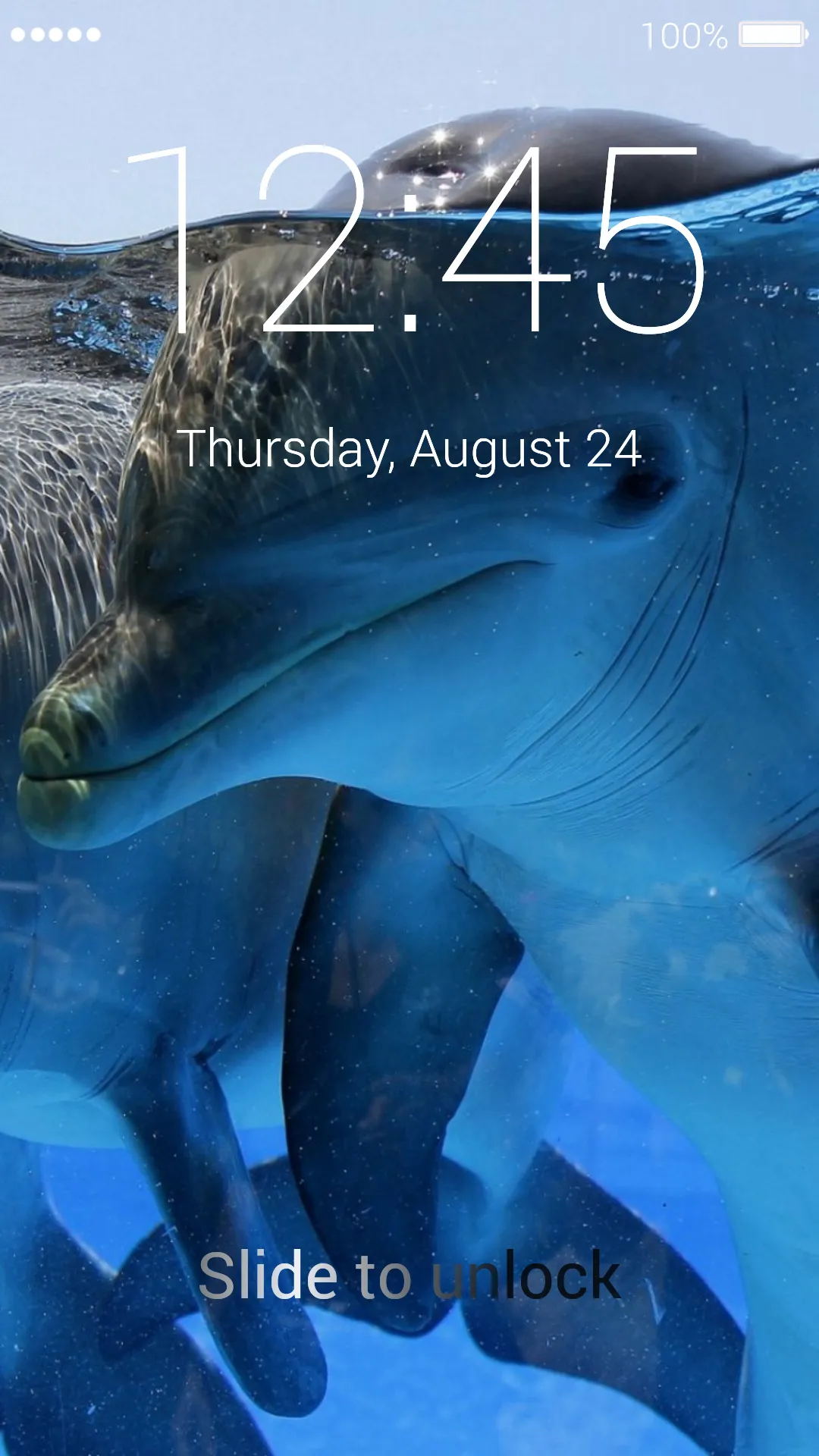 Dolphins Wallpapers & Lock | Indus Appstore | Screenshot