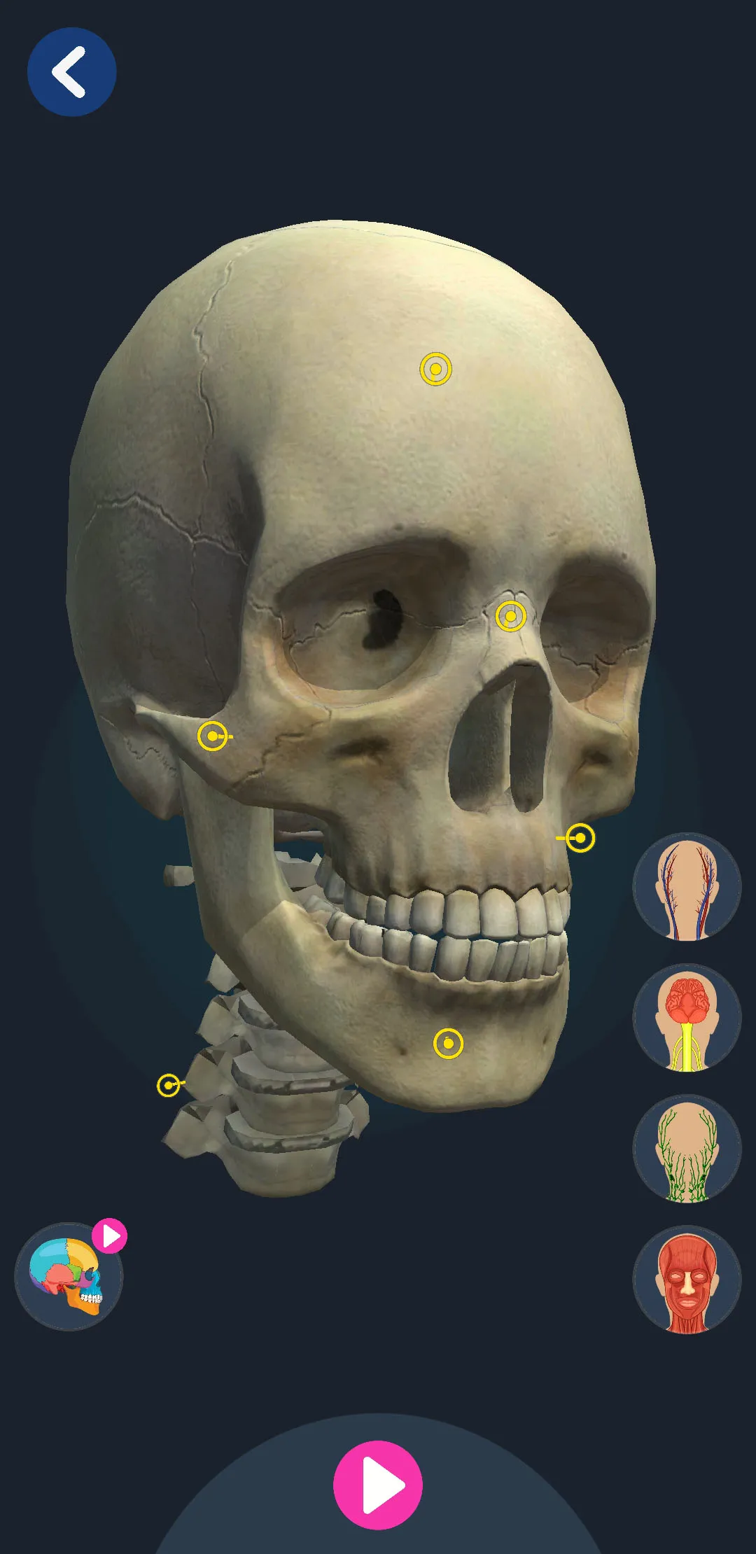 Human Anatomy 3D | Indus Appstore | Screenshot