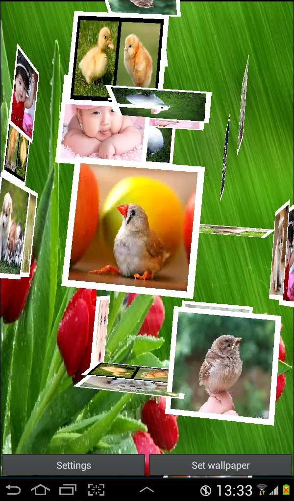 3D Photo Cube Live Wallpaper | Indus Appstore | Screenshot