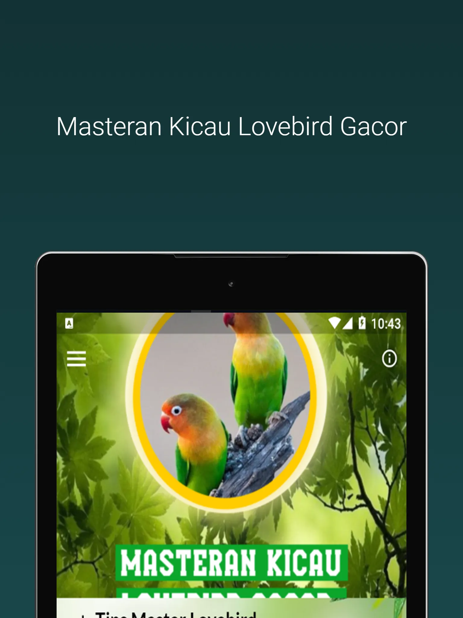 Masteran Kicau Lovebird Gacor | Indus Appstore | Screenshot