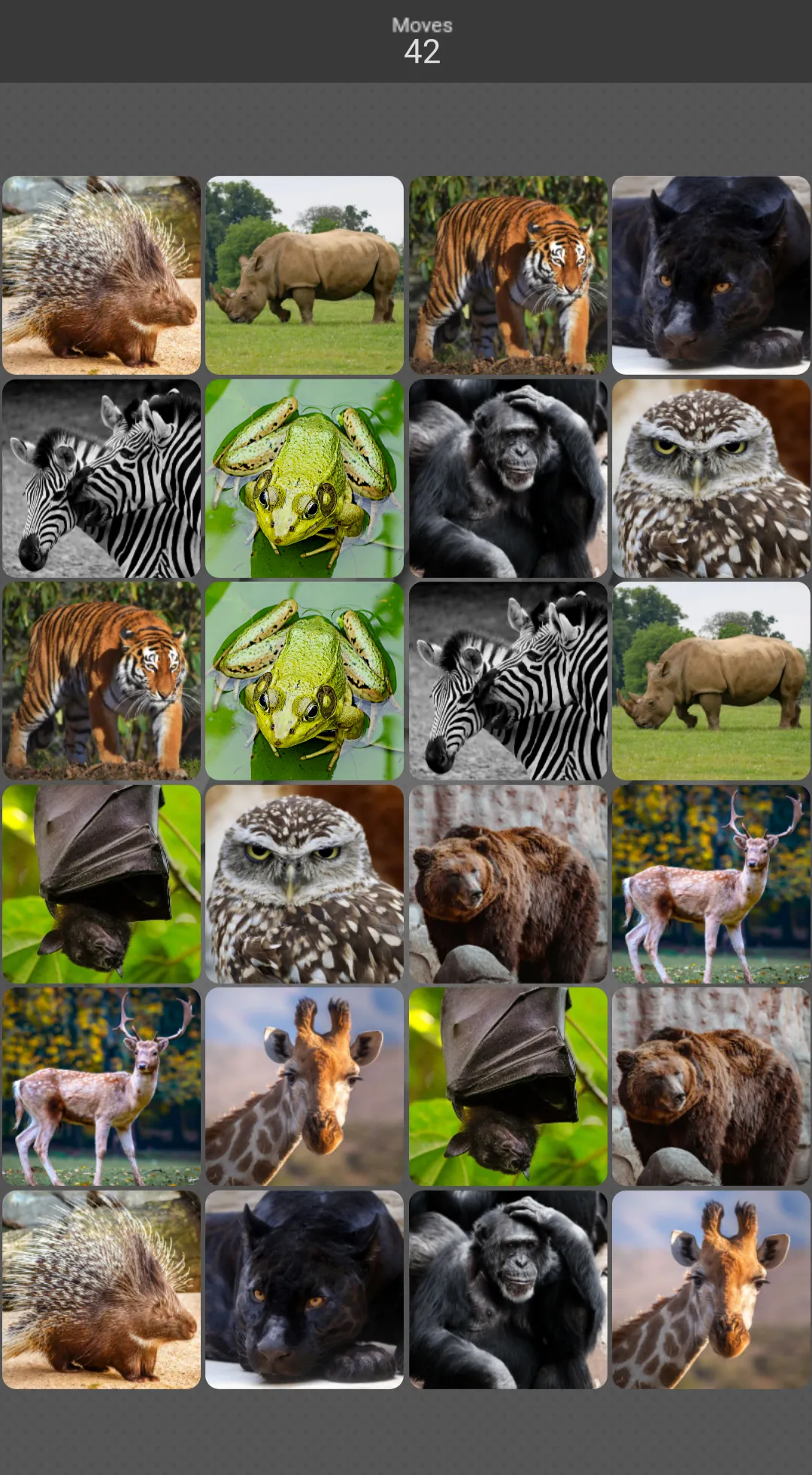 Pairs: Animals | Indus Appstore | Screenshot