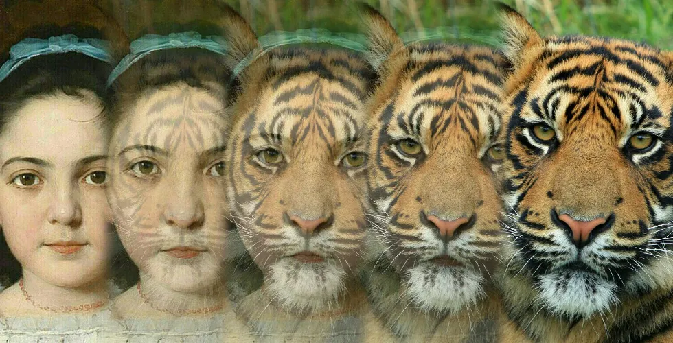 Zooface - GIF Animal Morph | Indus Appstore | Screenshot