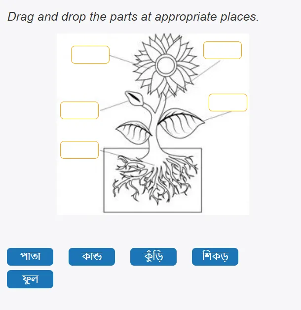 PSchool Bengali | Indus Appstore | Screenshot