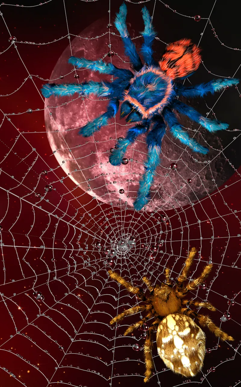 Spider, live wallpaper | Indus Appstore | Screenshot