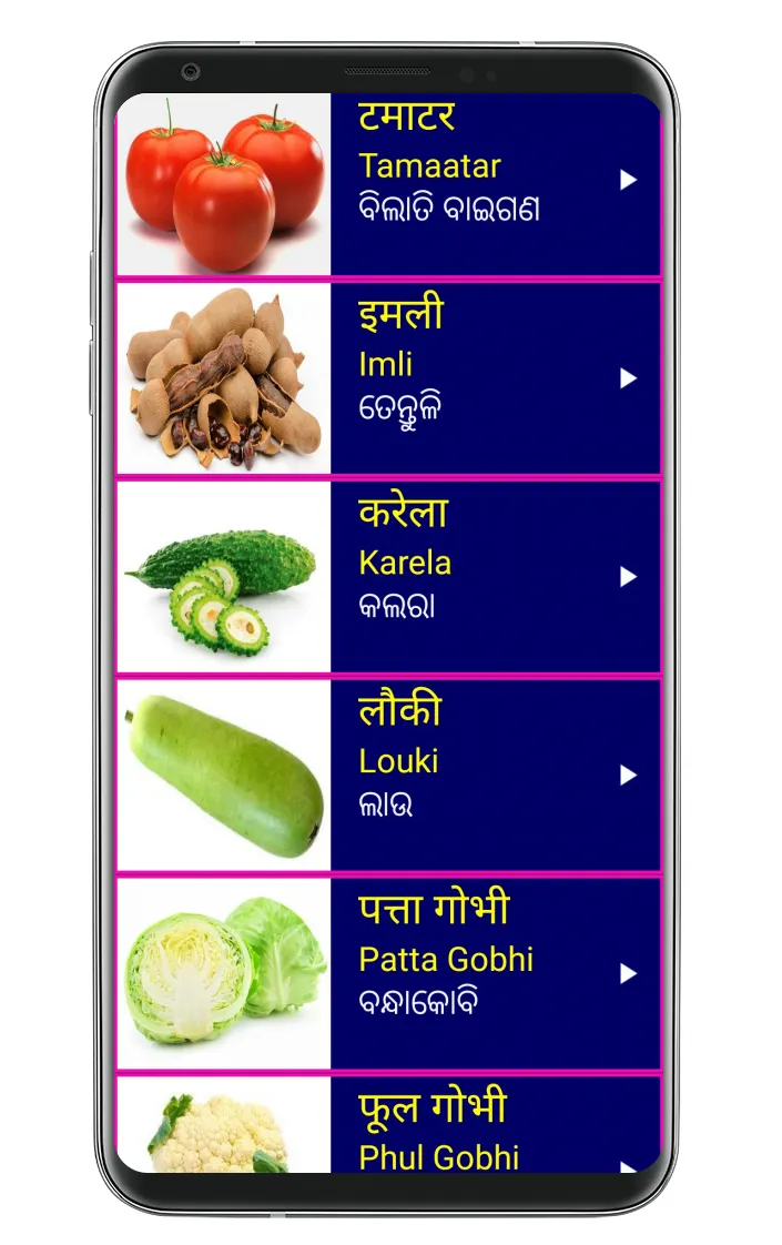 Learn Hindi from Odia | Indus Appstore | Screenshot