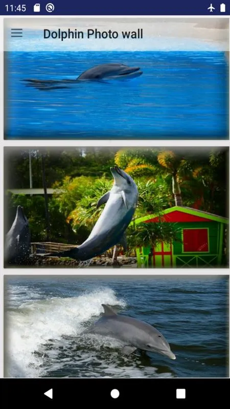 dolphin fish wallpaper | Indus Appstore | Screenshot