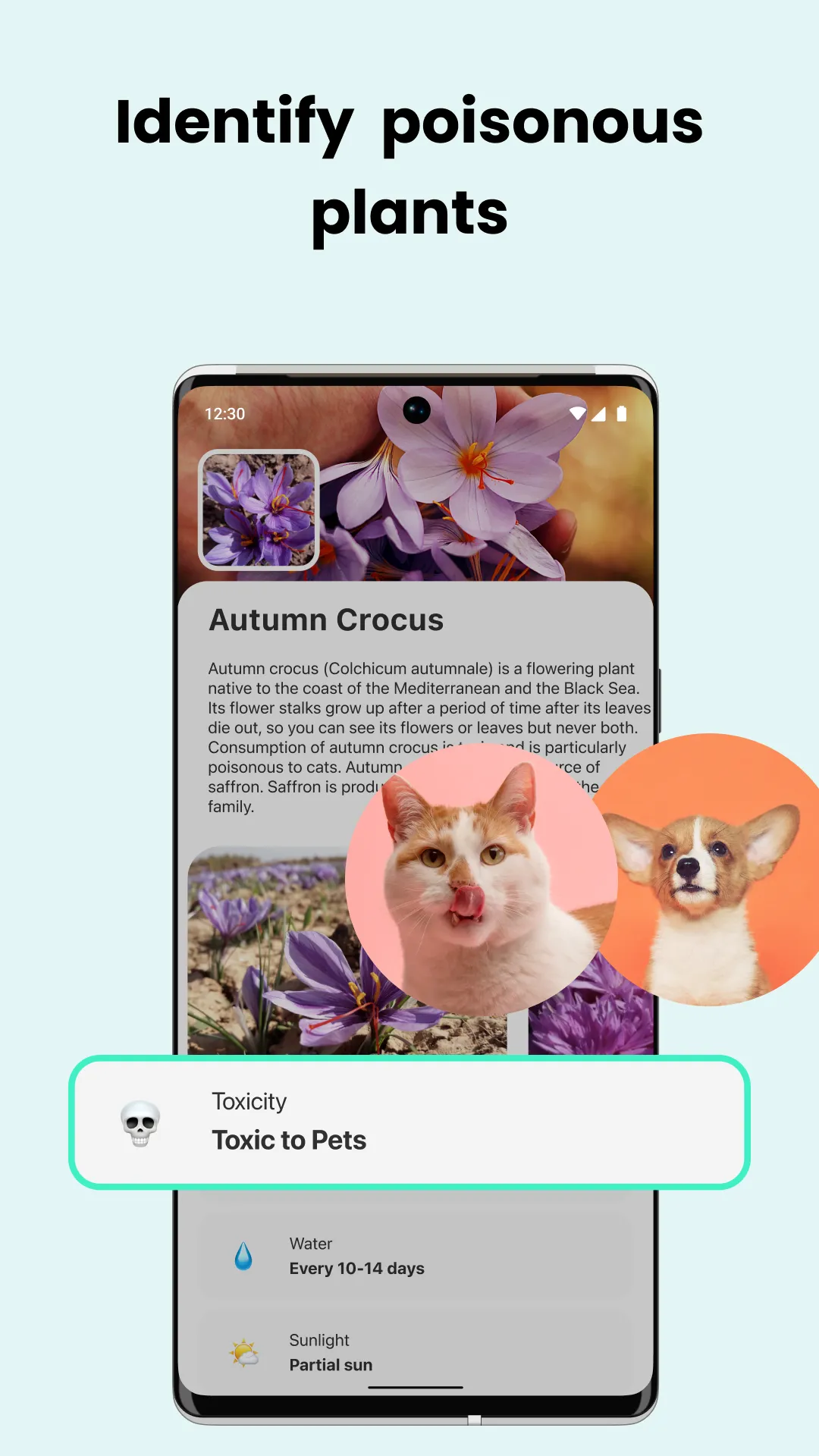 PlantCam: AI Plant Identifier | Indus Appstore | Screenshot