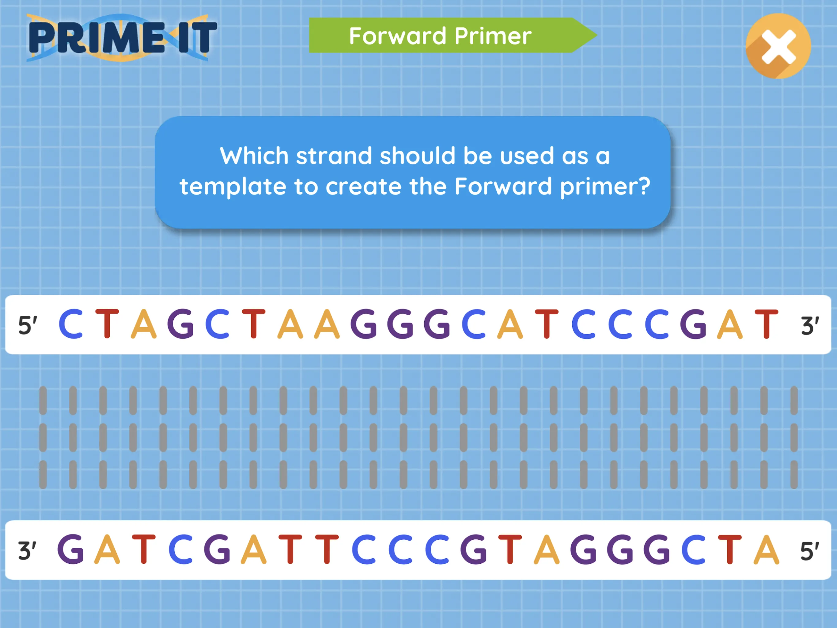 Prime It DNA Game | Indus Appstore | Screenshot