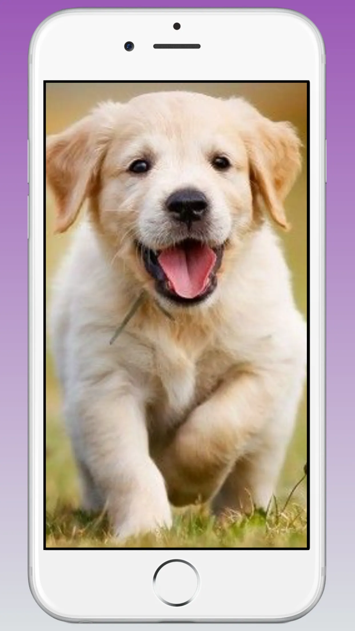 Cute Puppy & Dog Wallpapers HD | Indus Appstore | Screenshot