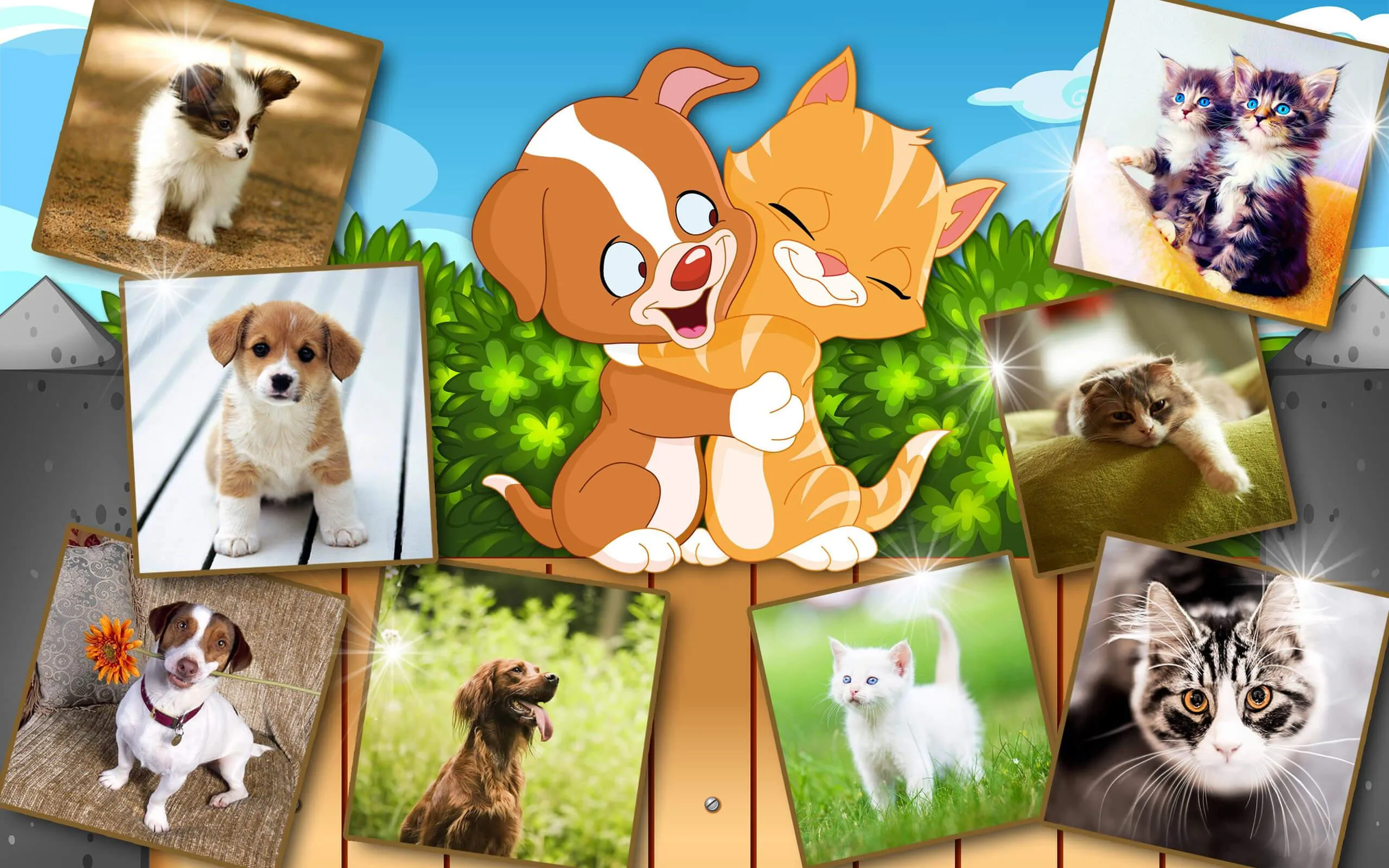 Cute Cat & Dog Live Wallpapers | Indus Appstore | Screenshot