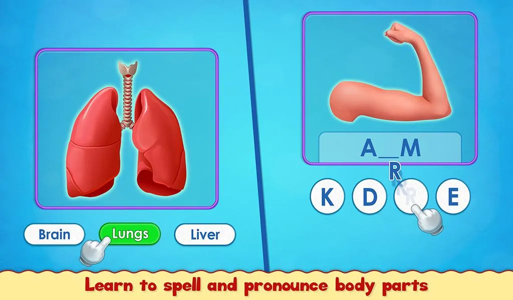 Human Body Parts - Kids Games | Indus Appstore | Screenshot