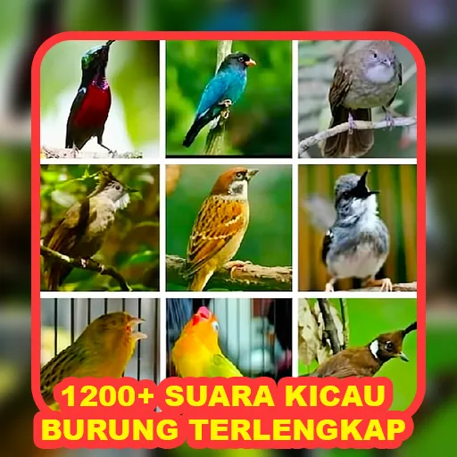 1200+ Suara Kicau Burung MP3 | Indus Appstore | Screenshot