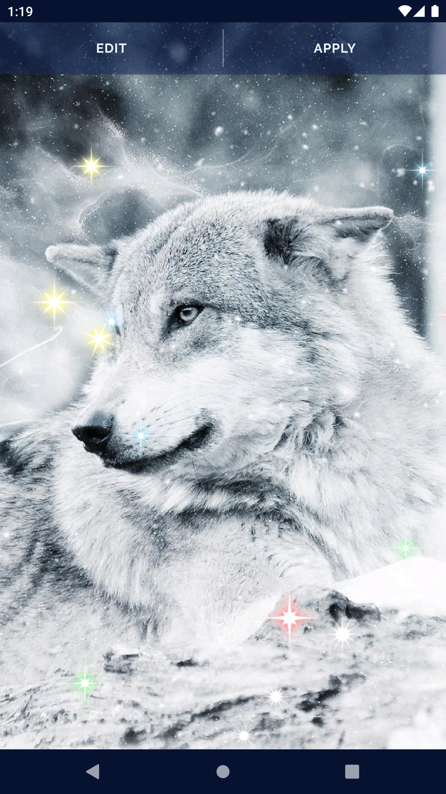 Night Wolf Live Wallpaper | Indus Appstore | Screenshot