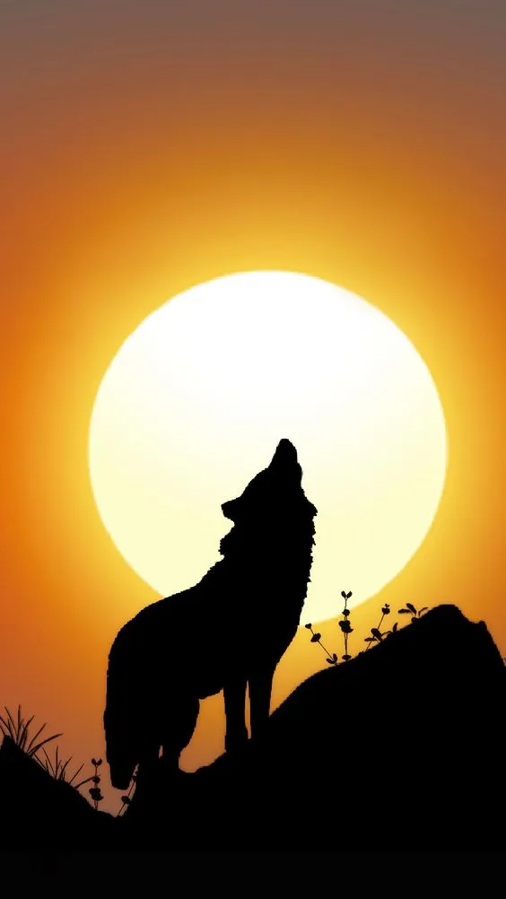 Wolf Wallpapers | Indus Appstore | Screenshot