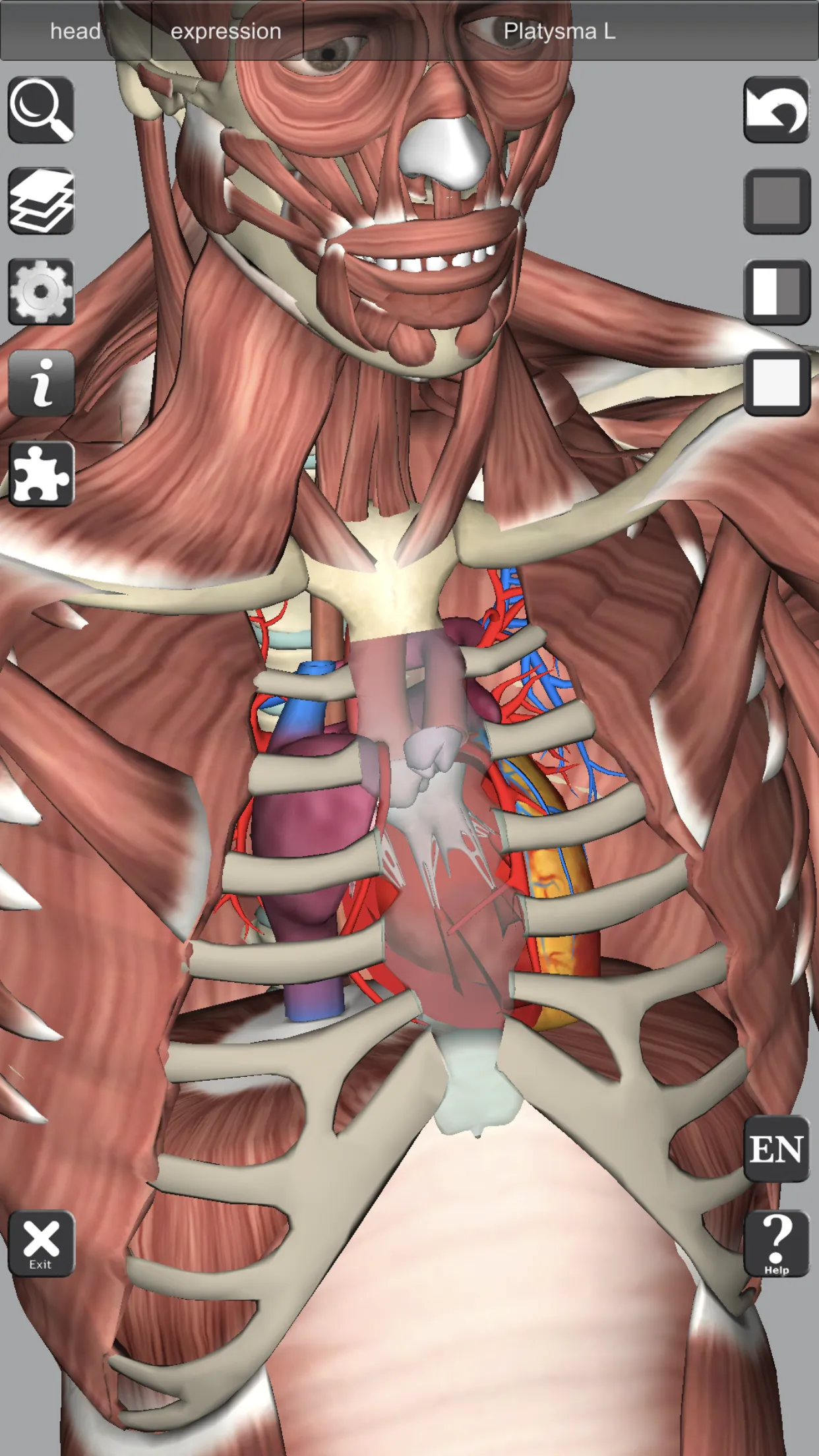 3D Bones and Organs (Anatomy) | Indus Appstore | Screenshot