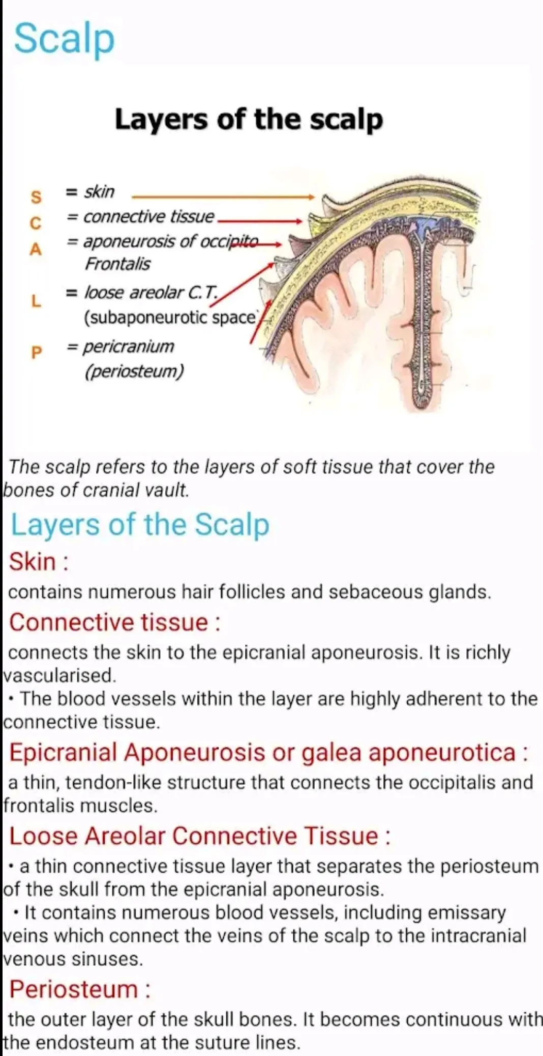 Human Anatomy E Theories | Indus Appstore | Screenshot