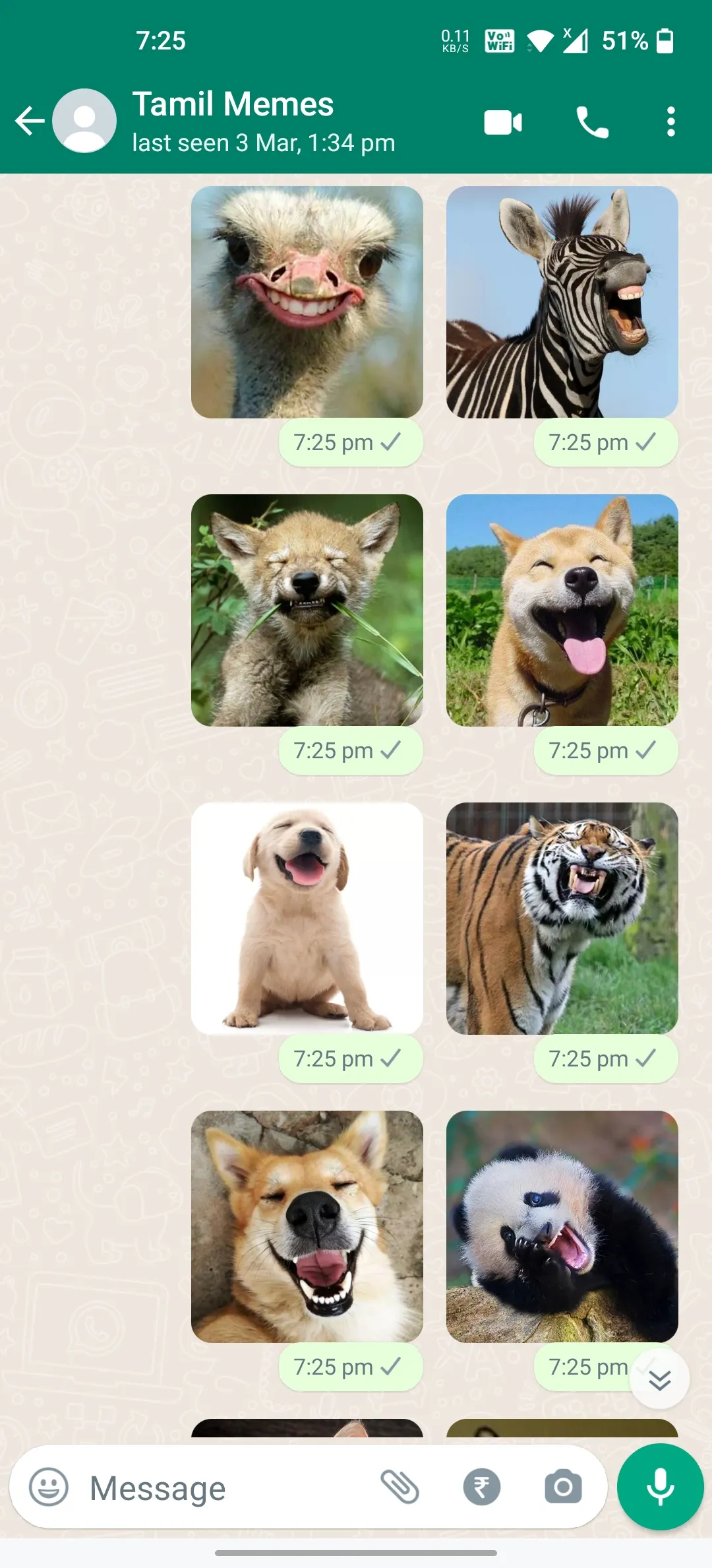 Animals Laughing Stickers | Indus Appstore | Screenshot