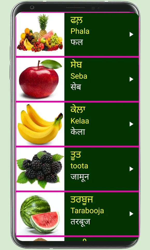 Learn Punjabi From Hindi | Indus Appstore | Screenshot