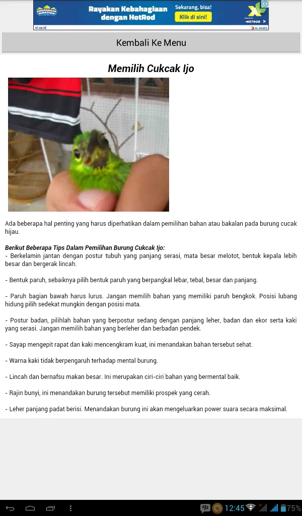 Tips Perawatan Cucak Ijo | Indus Appstore | Screenshot