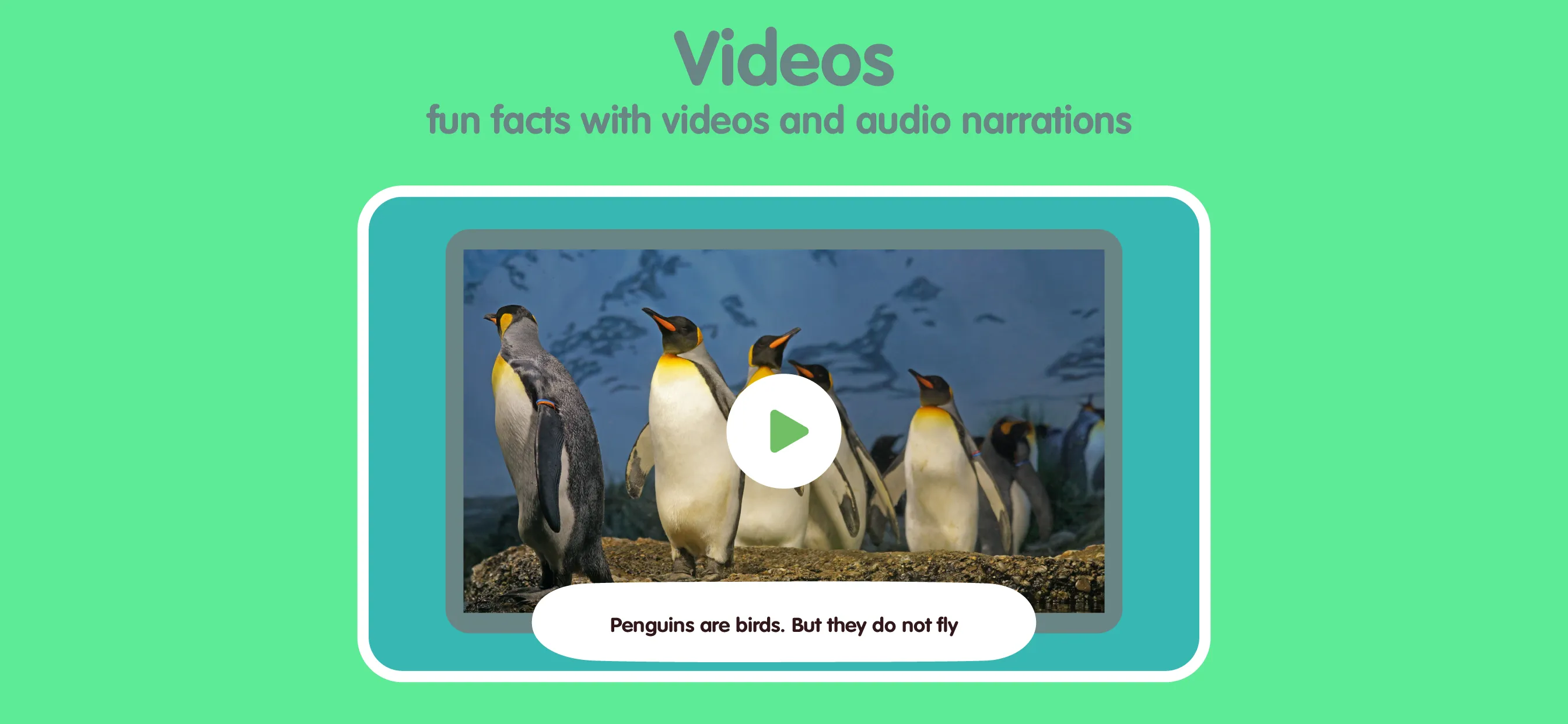 Learn Animals for Kids | Indus Appstore | Screenshot