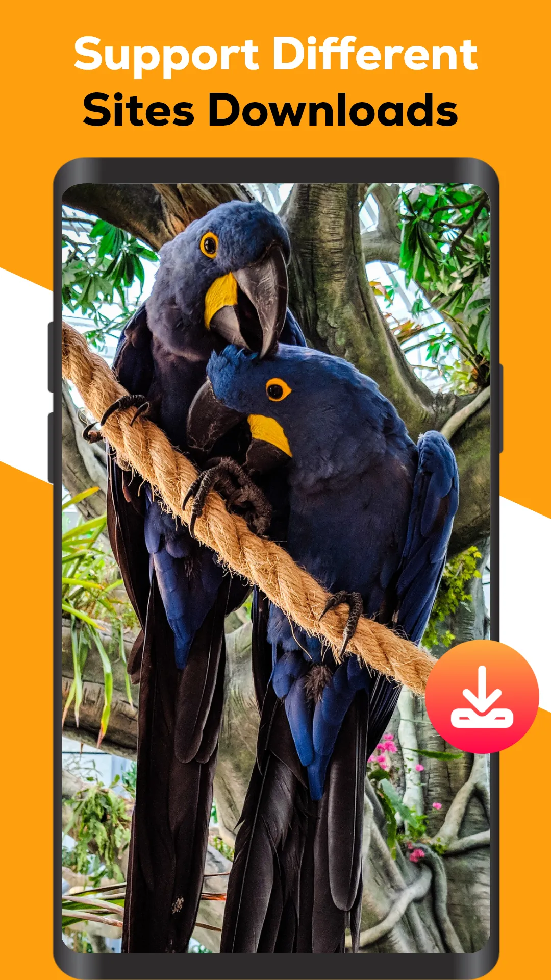 All Video Downloader - Save HD | Indus Appstore | Screenshot